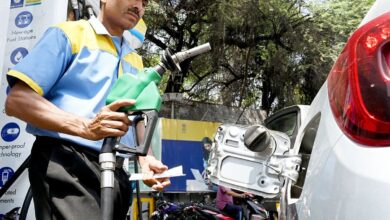 E20 petrol mileage drop