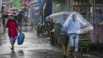 IMD Rain Forecast 2026