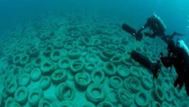 artificial reefs history