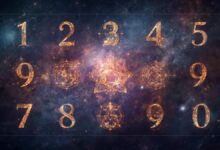 Trustworthy Root Numbers