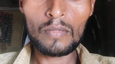 आवारा गौवंशो का आतंक: सांड़ ने सींग घोंका मौत