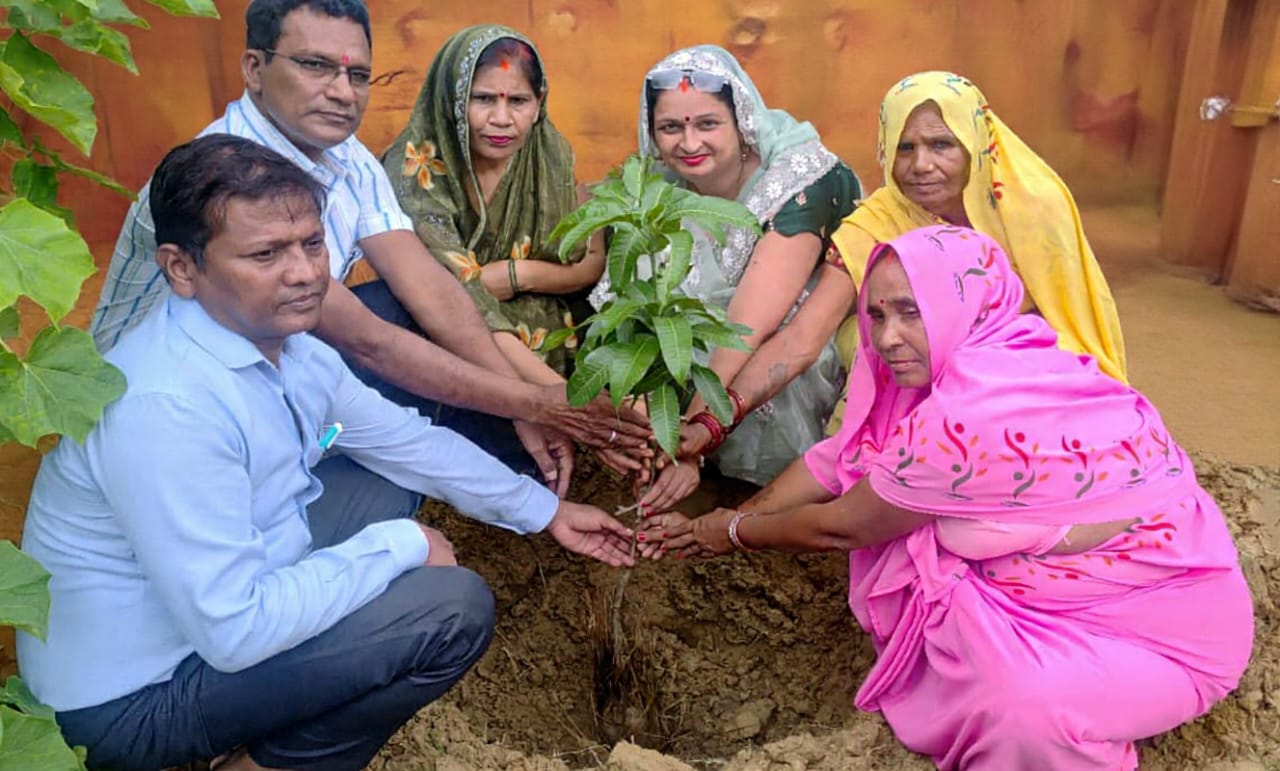 जन्मदिन पर दिया पर्यावरण को उपहार: शिक्षिका ने लगाया आम का पौधा