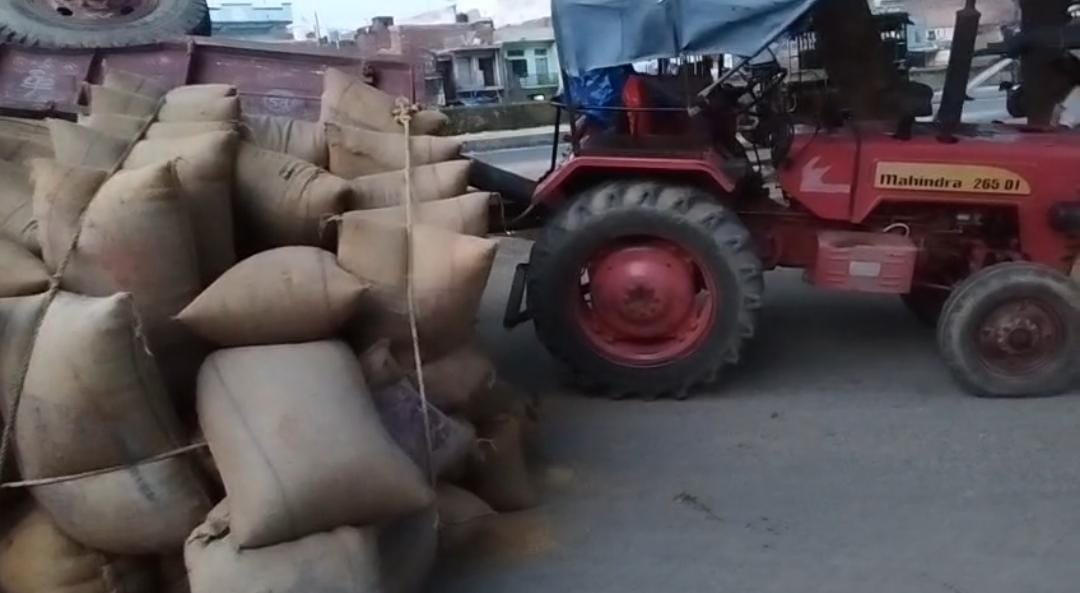 सड़क पर दौड़ती गेहूं भरी ट्रैक्टर ट्राली पलटी