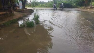 हाईवे सर्विस रोड पर जलभराव: यातायात प्रभावित