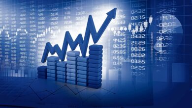 STL multibagger stock
