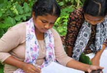 Mayurbhanj Sisters NEET