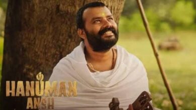 Indian box office collection report 2026