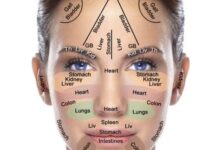 Samudrik Shastra Face Reading