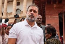 BJP Attacks Rahul Gandhi GDP
