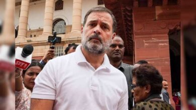 BJP Attacks Rahul Gandhi GDP