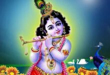 Janmashtami fast rules 2026