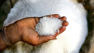 Sugar Rate Today