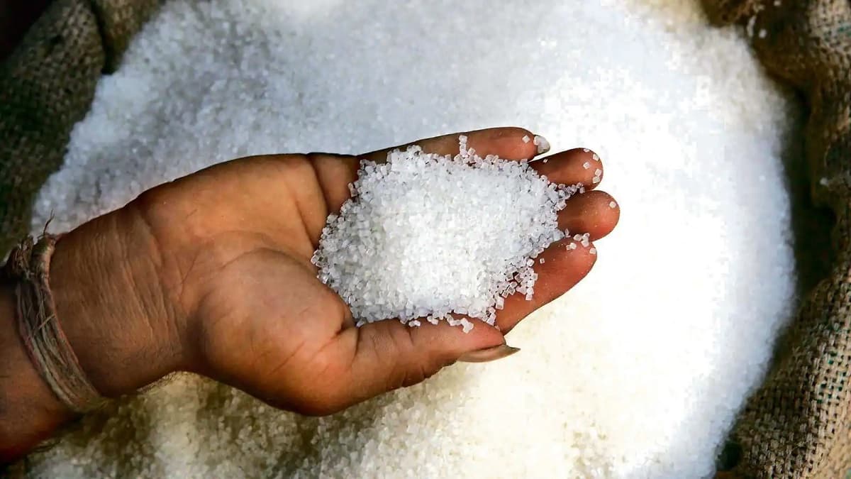 Sugar Rate Today