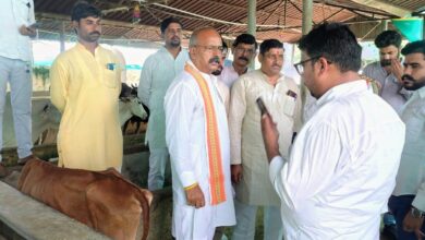गौवंशों को भूसा-दाना के साथ हराचारा भी खिलाएं: डा.रमाकान्त
