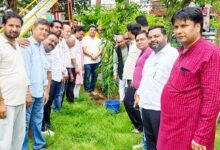 जन्माष्टमी पर सपा ने किया पौधारोपण, जनसमस्याओं पर अभिषेक गर्ग ने सुनीं शिकायतें