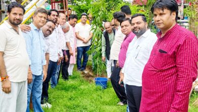 जन्माष्टमी पर सपा ने किया पौधारोपण, जनसमस्याओं पर अभिषेक गर्ग ने सुनीं शिकायतें