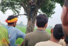 जामुन पेड़ पर फांसी पर झूलता मिला युवक का शव: फैली सनसनी