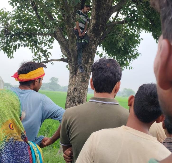 जामुन पेड़ पर फांसी पर झूलता मिला युवक का शव: फैली सनसनी