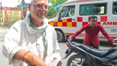 बंदरों का आतंक: बैनामा लेखक को काटा