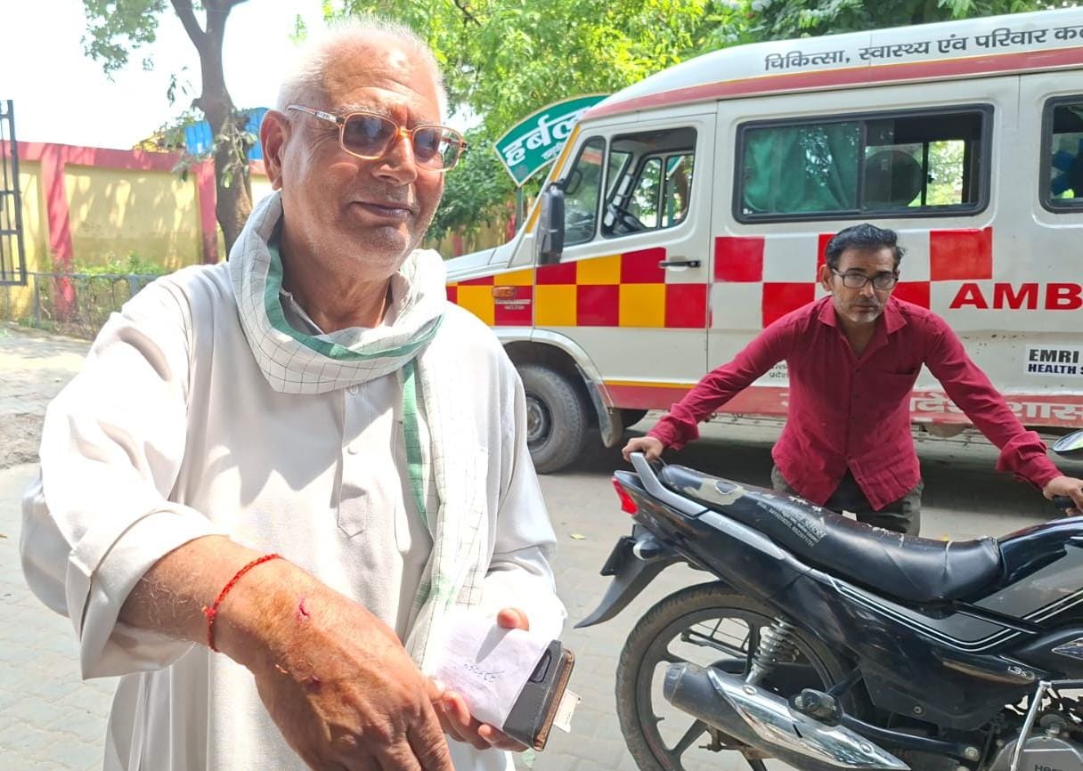 बंदरों का आतंक: बैनामा लेखक को काटा