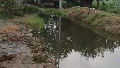 बिहारीपुरा की मुख्य सड़क बनी नाला