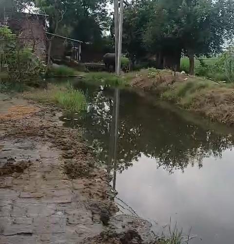 बिहारीपुरा की मुख्य सड़क बनी नाला