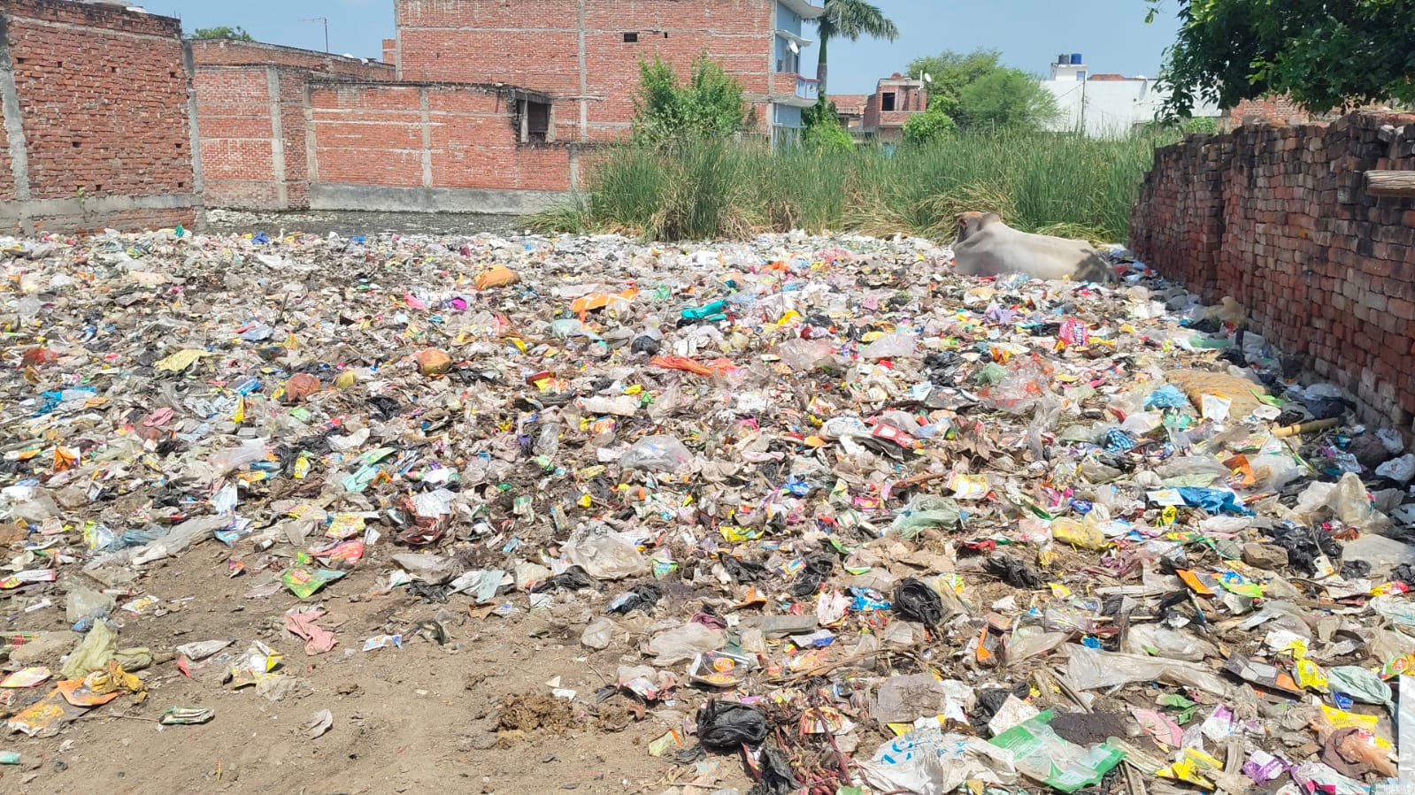 बीच बस्ती लगे कूड़े के ढेर: दिनभर बदबू से परेशान