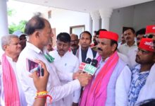 लोकतंत्र और सामाजिक