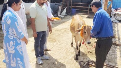 सेवा संकल्प अभियान के तहत गो आश्रय स्थलों में चला विशेष स्वच्छता एवं स्वास्थ्य अभियान