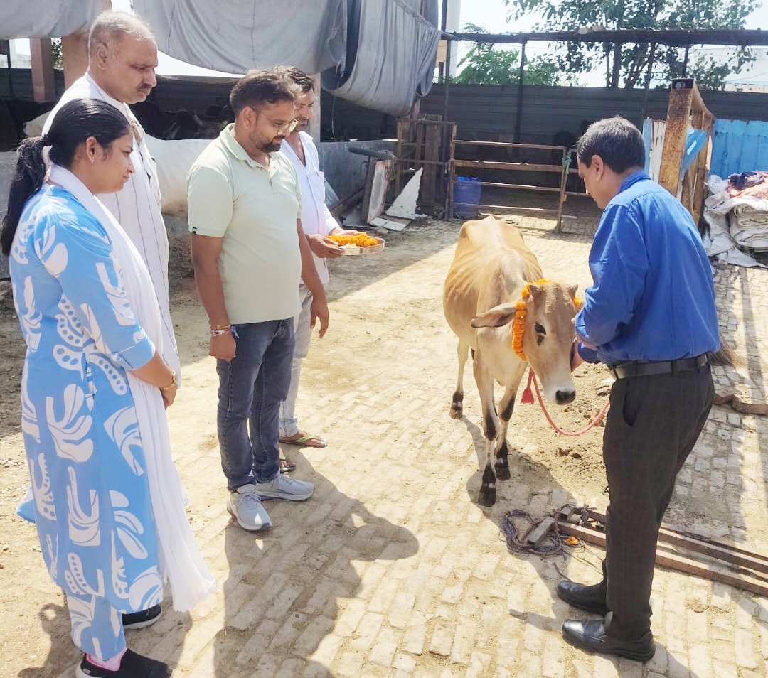 सेवा संकल्प अभियान के तहत गो आश्रय स्थलों में चला विशेष स्वच्छता एवं स्वास्थ्य अभियान