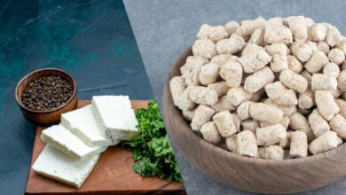 Paneer vs Soya Chunks Protein