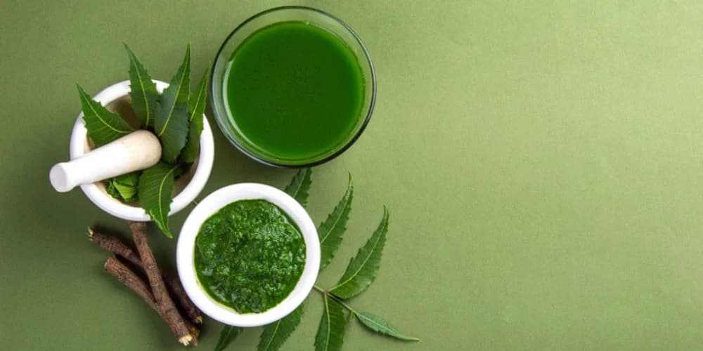neem water benefits