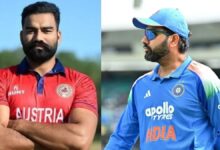Most sixes in a calendar year