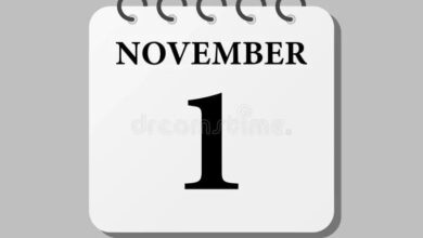 1 November new rules 2026
