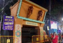 Kolkata Durga Puja Stampede