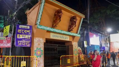 Kolkata Durga Puja Stampede
