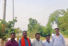 विसर्जन से पहले युवा नेता पुलकित सिंह ने लगवाई लाइट